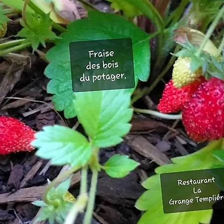 Bed & Breakfast La Grange Templiere 2018 3*