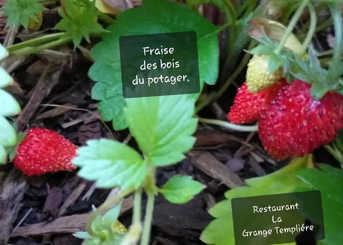 La Grange Templiere 2018 4*